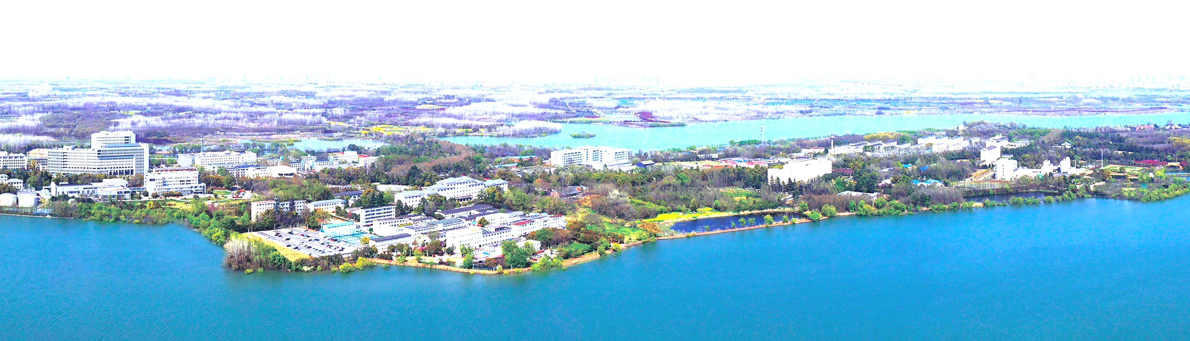 2025-1-7-second-header-bg.png
